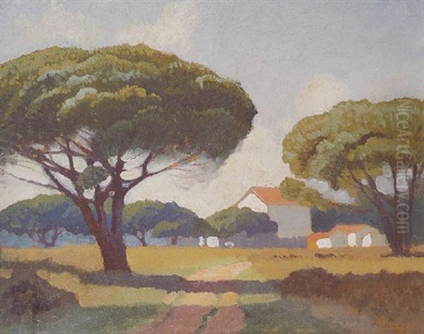 Sheoaks In France - view 1