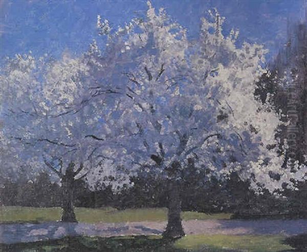 Blossom Trees - view 1