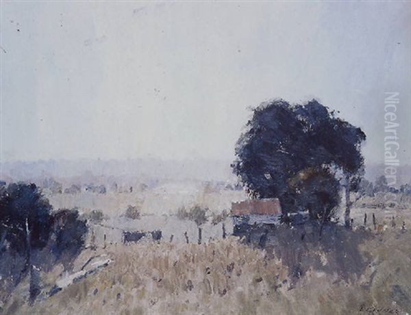 Early Morning - view 1