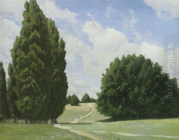 The Path To The Town, Canberra - view 1