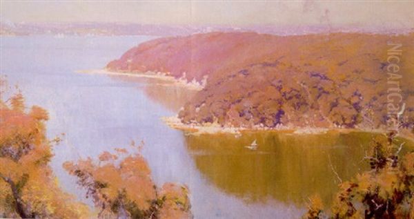 Dreamy Morning, Middle Harbour - view 1