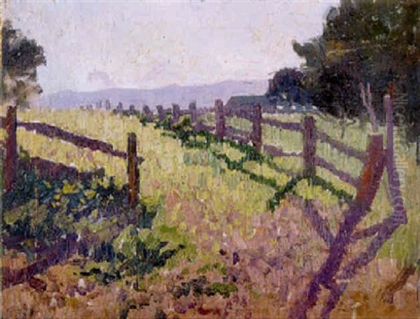 Field - view 1