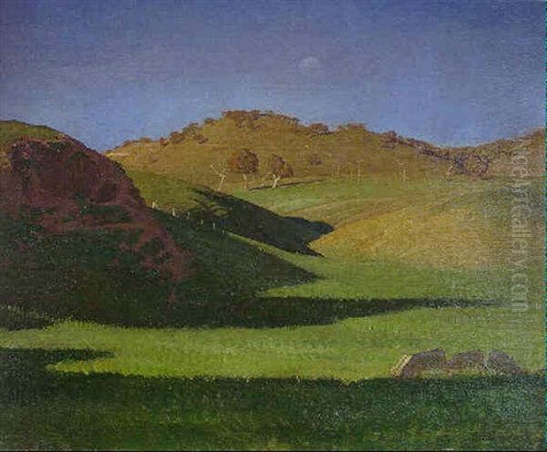 Lucerne Patch, Murrumbidgee - view 1