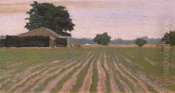 Plowed Fields - view 1
