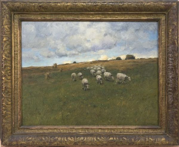Pasture On The Hill - view 1