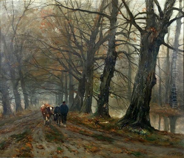 Boer Met Koeien Op Bospad - view 1