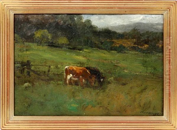 Mountain Pasture - view 1