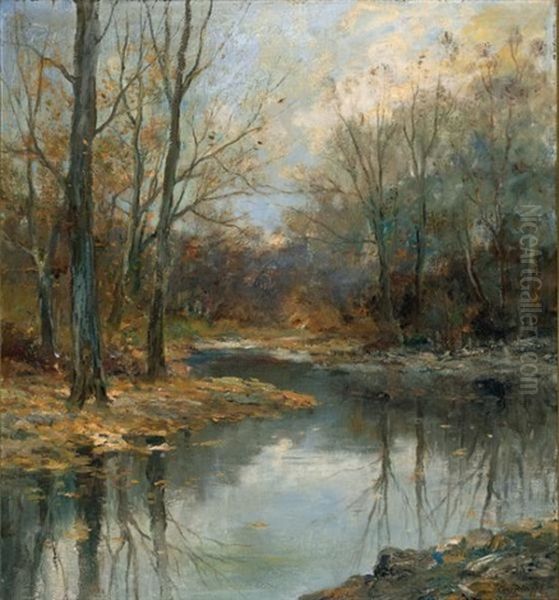 Autumn Scene With Creek In Woods - view 1
