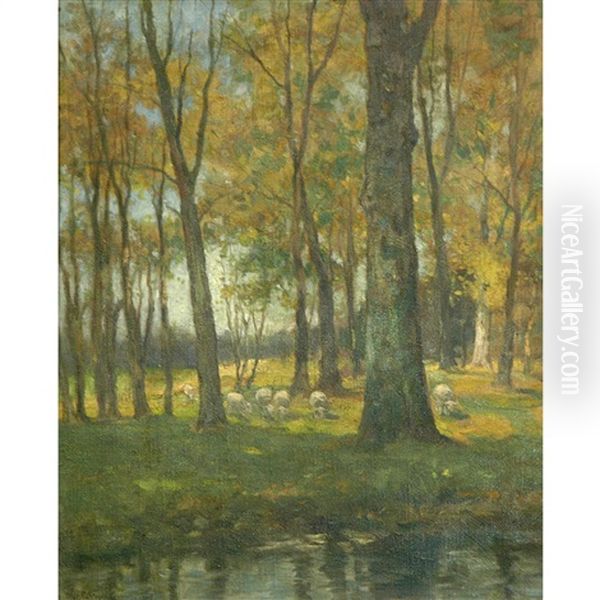 Sheep At The Edge Of The Wood - view 1
