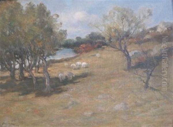 Country Landscape With Sheep Grazing - view 1