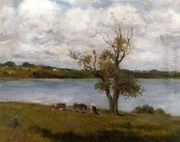 Cattle Grazing By A River - view 1
