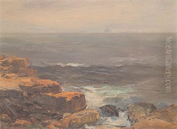Rocky Coastline With Distant Ship - view 1