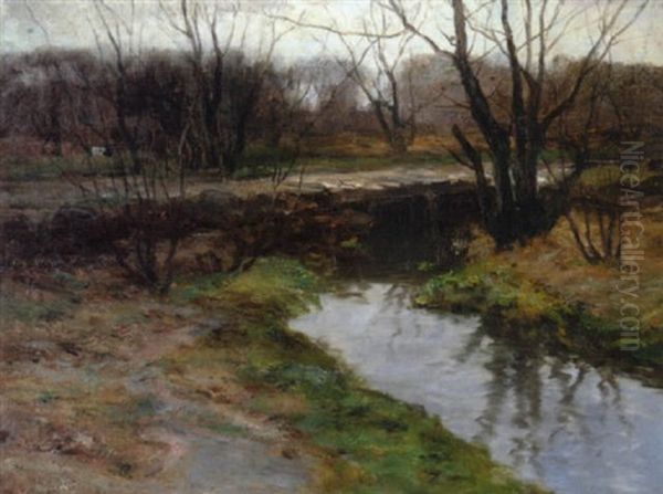 Brook In Spring - view 1
