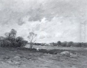 Gray Afternoon, An Open Cow Pasture Gray Afternoon, An Open Cow Pasture