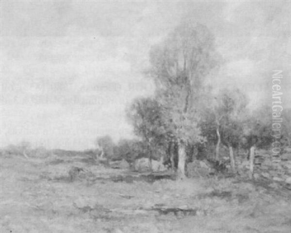 An Open Country Landscape - view 1