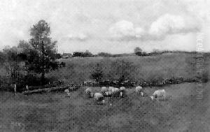 Expansive Landscape With Sheep And A Rock Fence