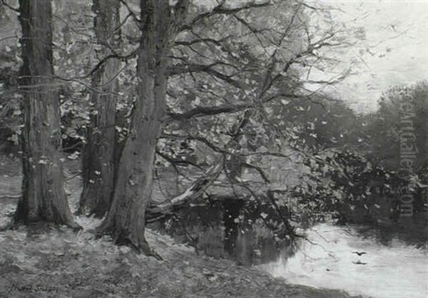 Autumn In The Woods - view 1