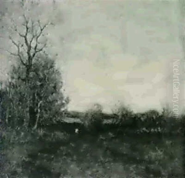 Meadow In Autumn - view 1