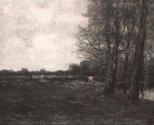 Grazing - view 1