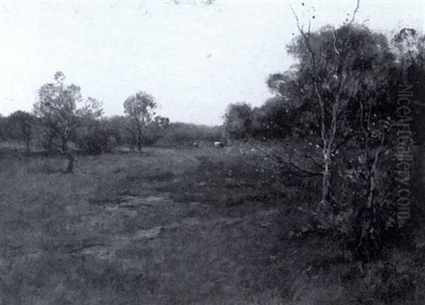 The Dune Country, Indiana - view 1