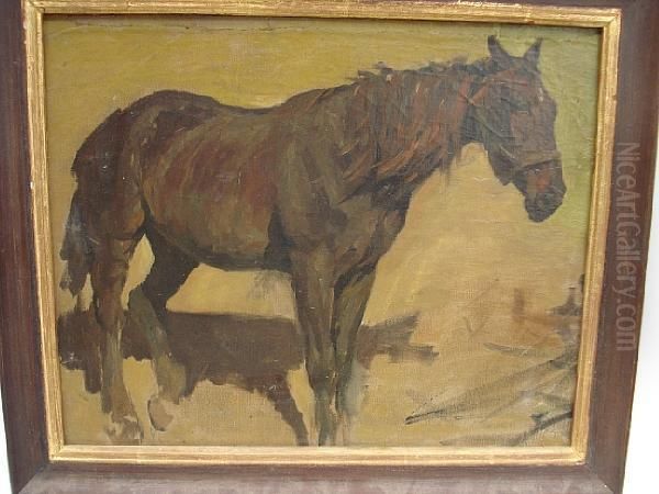 Old Chestnut Mare - view 1