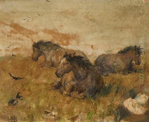Ponies Sheltering - view 1