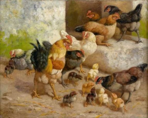 Poules Et Poussins - view 1