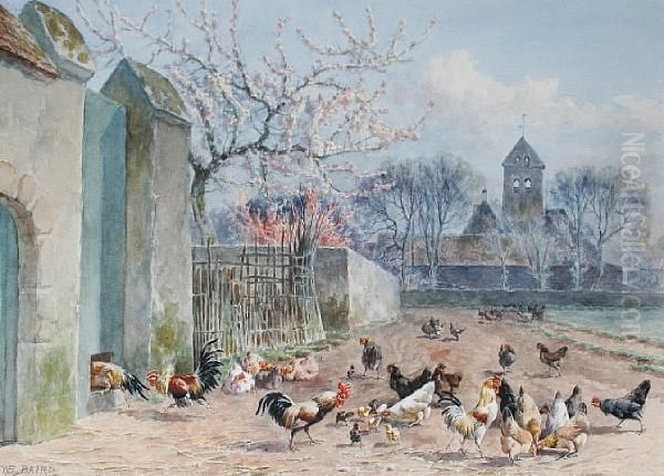 The Chicken Run - view 1