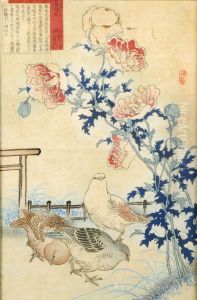 Oiseaux Et Fleurs