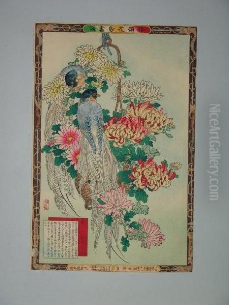 Un Couple D'oiseaux Dans Une Corbeille De Chrysanthemes - view 1