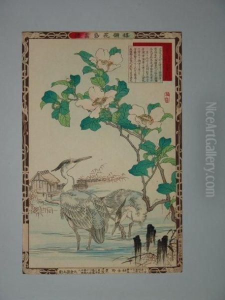 Un Couple De Herons - view 1