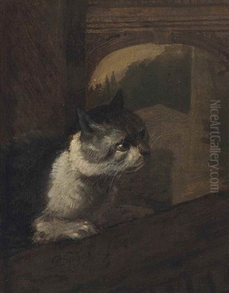 Cat In An Architectural Landscape - view 1
