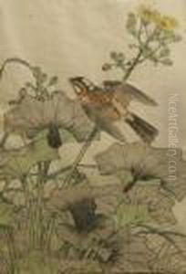 Bird And Flowers