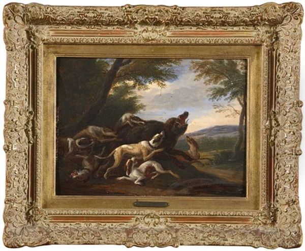 Sanglier Attaque Par Des Chiens - view 1
