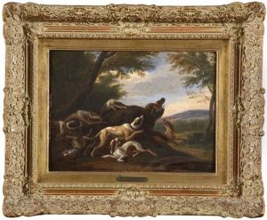 Sanglier Attaque Par Des Chiens