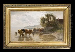 Kuhe In Weiter Stimmungslandschaft