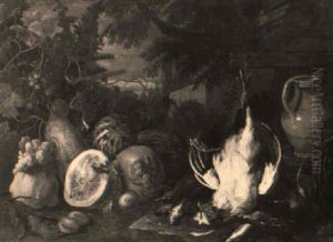 Nature Morte Nature Morte