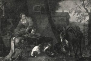 Cour De Ferme Cour De Ferme