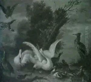 Schwane, Enten Und Reiher Am Wasser, Von Einem Raubvogel    Angegriffen