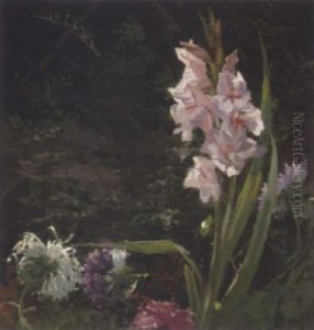 Gladiolen