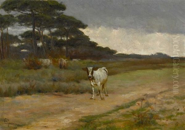 Waldrand Mit Einem Kalb - view 1
