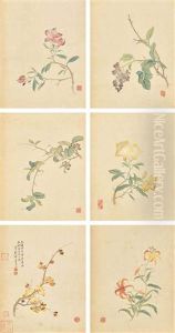 Fragrance Of Flowers Fragrance Of Flowers