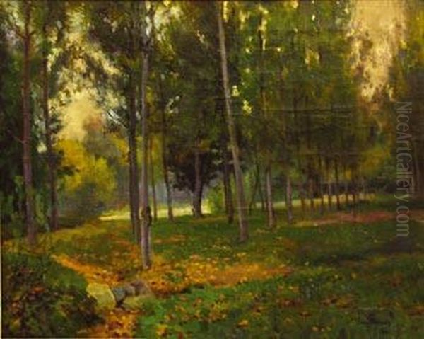 Bosque - view 1