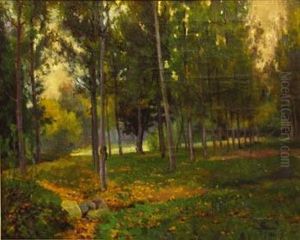 Bosque by Juan Manuel Baixas Carrete
