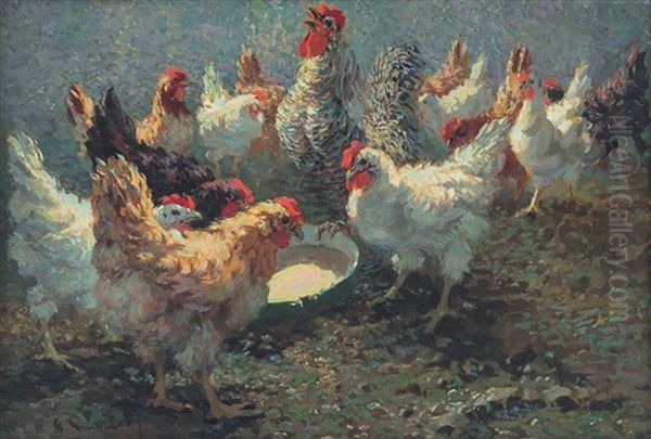 Galline All'aperto - view 1