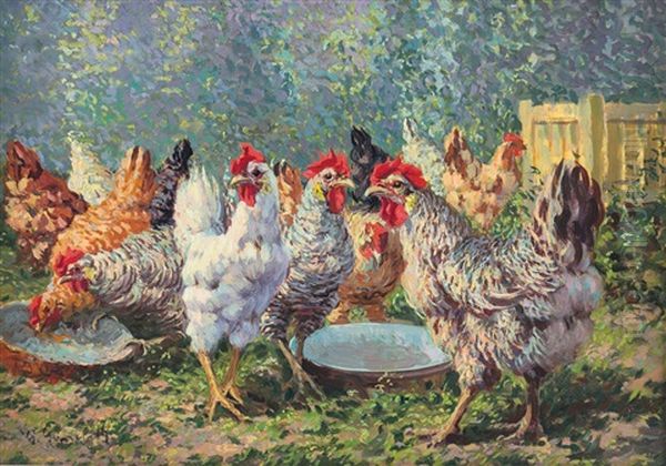 Gallo E Galline All'aperto - view 1