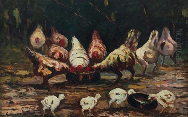 Galline E Pulcini All'aperto - view 1