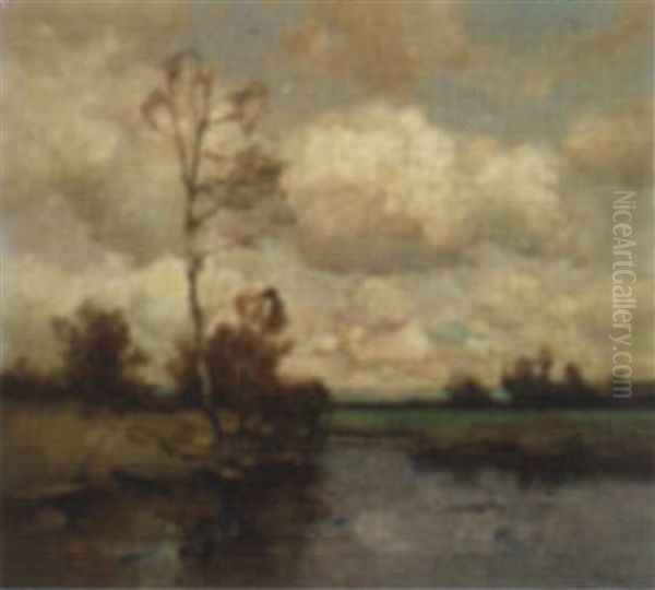 Norddeutsche Moorlandschaft - view 1