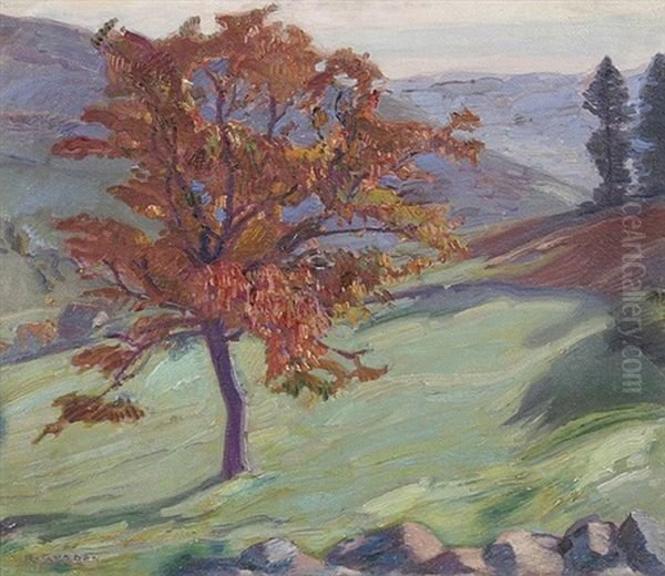 Kirschbaum Im Herbst - view 1