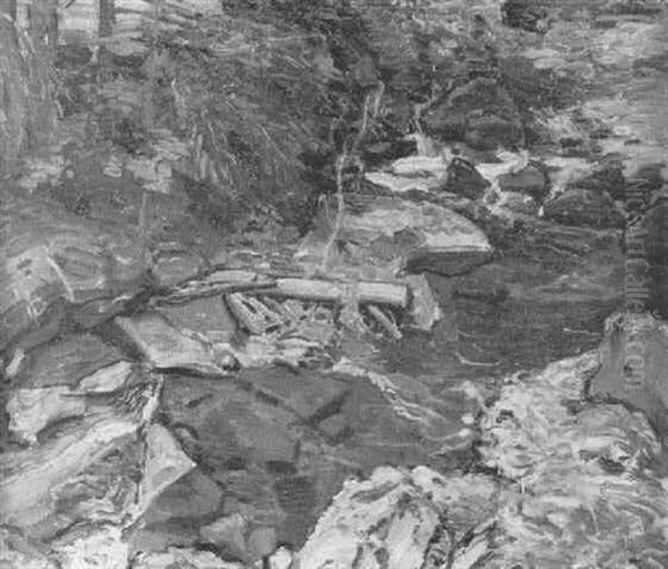 Schwarzwald-bach - view 1